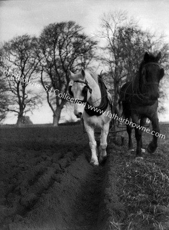 ON THE FARM EMO COURT PLOUGHING WITH HORSES